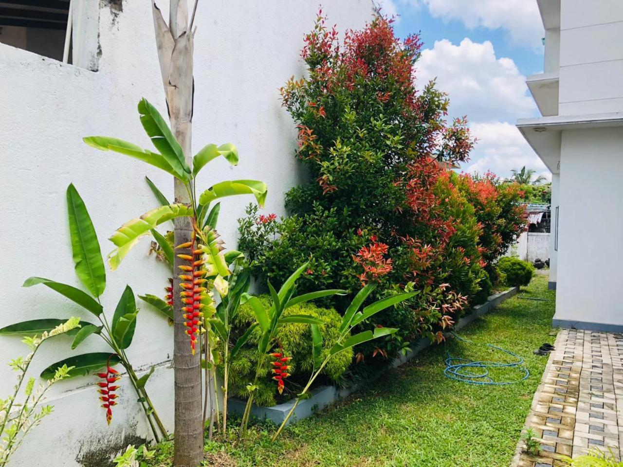 Vidushi Home Minuwangoda Luaran gambar