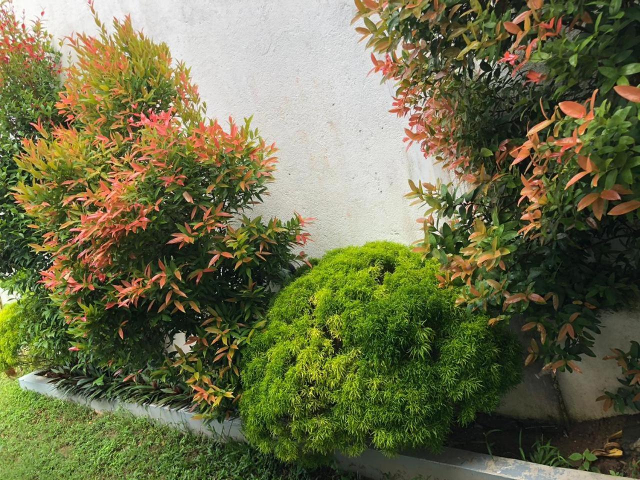 Vidushi Home Minuwangoda Luaran gambar